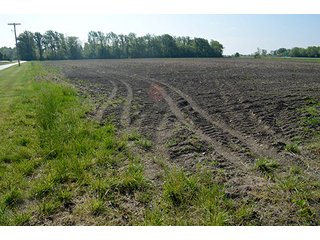 Property photo 87 - LAND AUCTION - 215+/- ACRES OFFERED IN 6 TRACTS IN VAN WERT COUNTY, OHIO